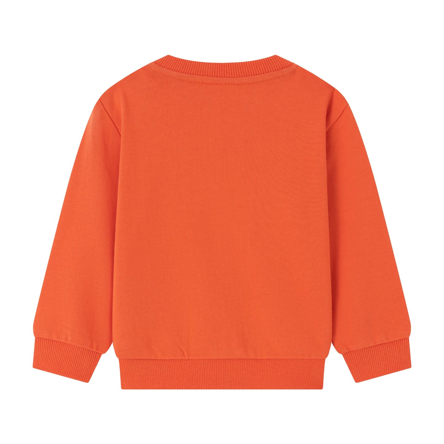 Sudadera Infantil de Circuito Coches I 100% Algodón